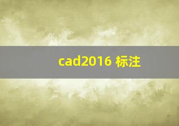 cad2016 标注